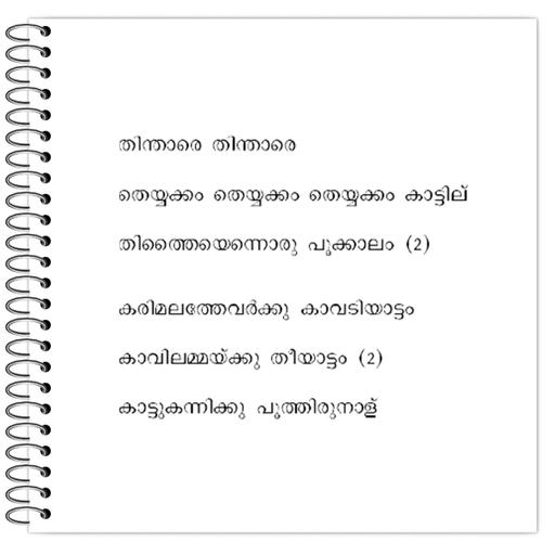 Picture of the product