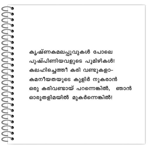 Picture of the product