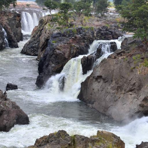 Picture of the product