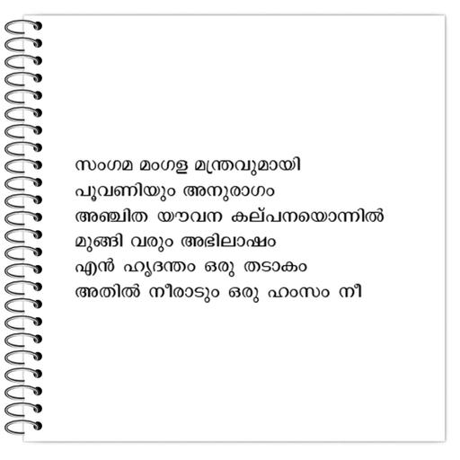 Picture of the product