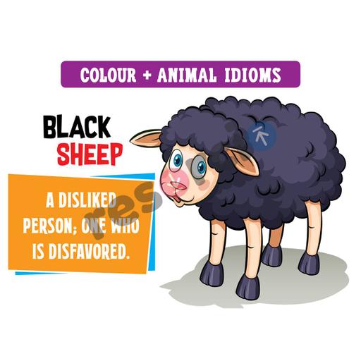 Picture of the product