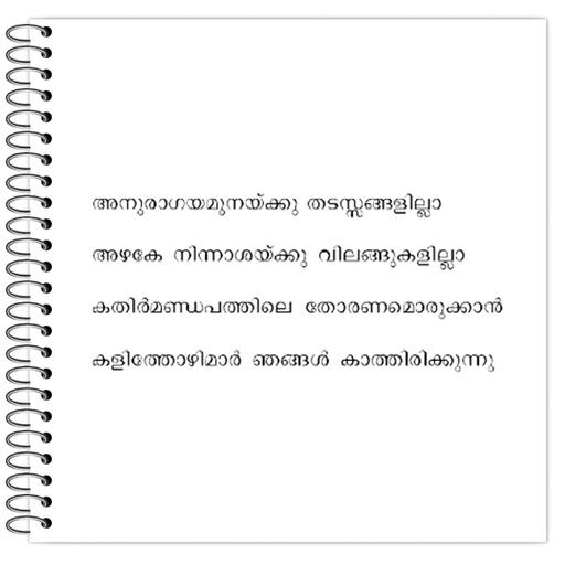 Picture of the product