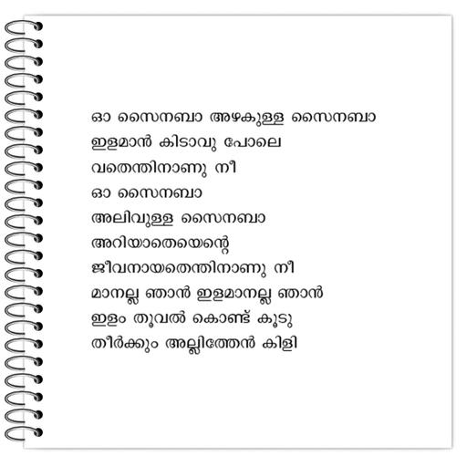 Picture of the product