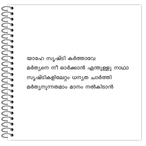 Picture of the product