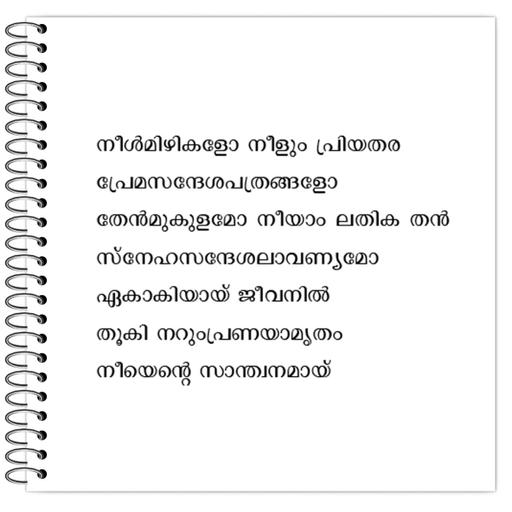 Picture of the product