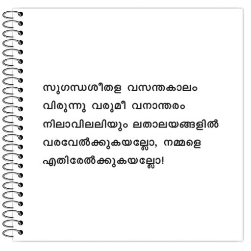 Picture of the product