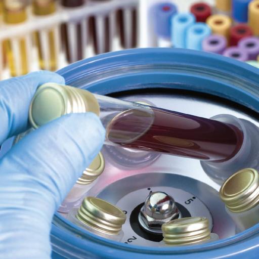 Picture of the product