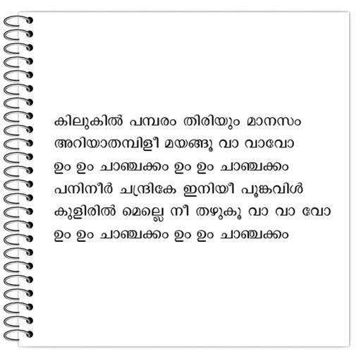 Picture of the product