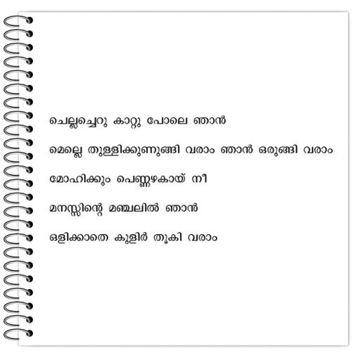 Picture of the product