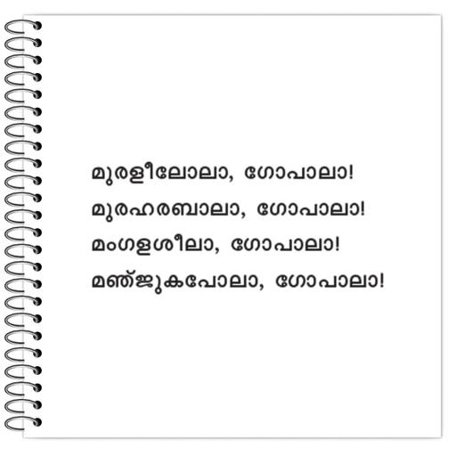 Picture of the product