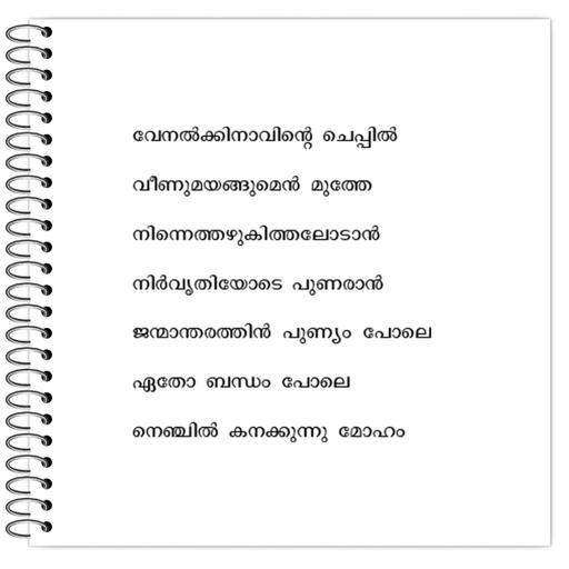 Picture of the product