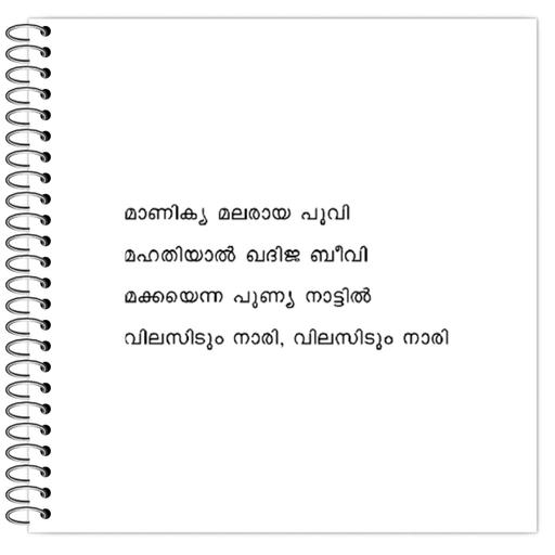 Picture of the product