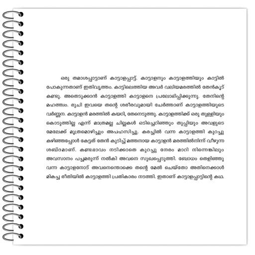 Picture of the product