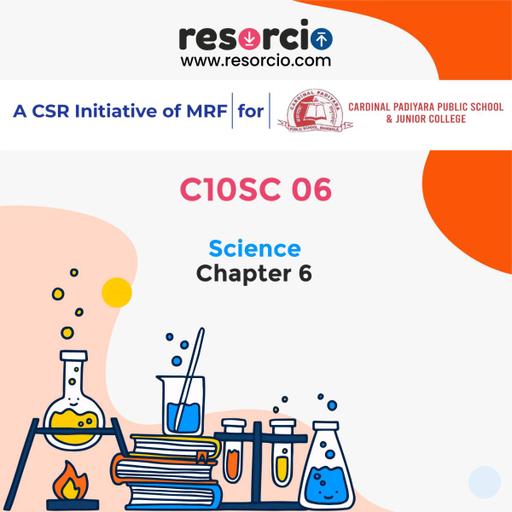 Picture of the product