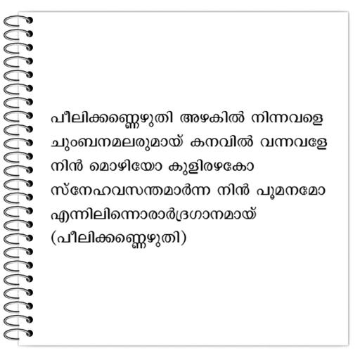 Picture of the product