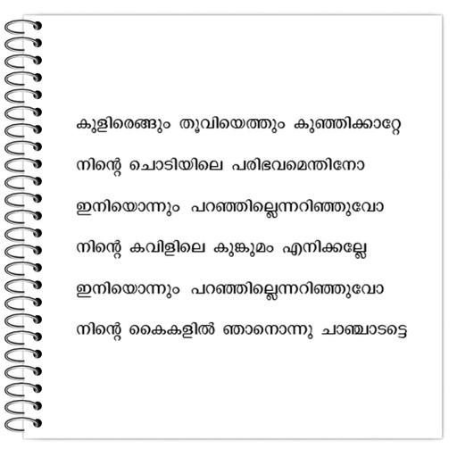 Picture of the product