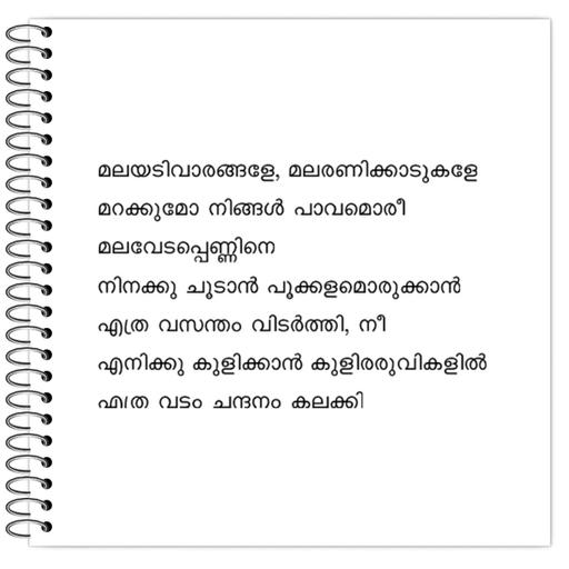 Picture of the product