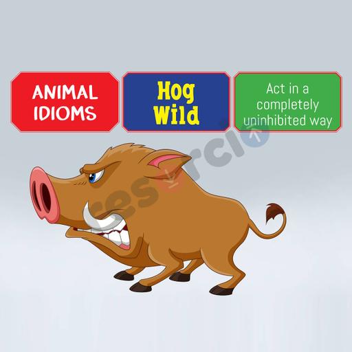 Picture of the product