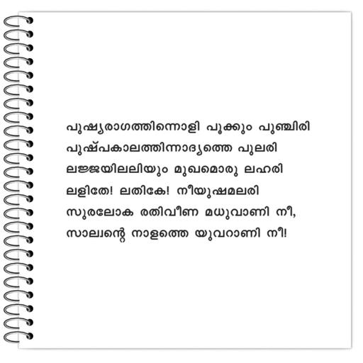 Picture of the product