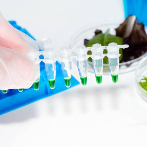 Picture of the product