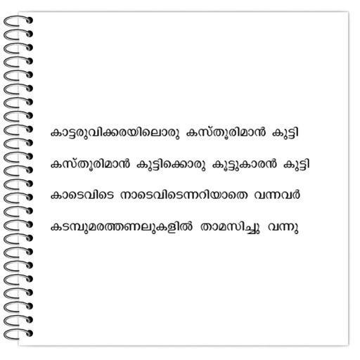 Picture of the product