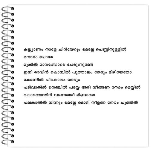 Picture of the product