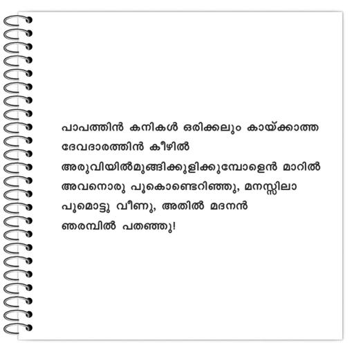 Picture of the product