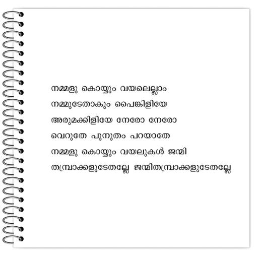 Picture of the product