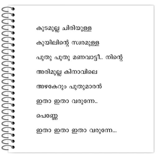 Picture of the product