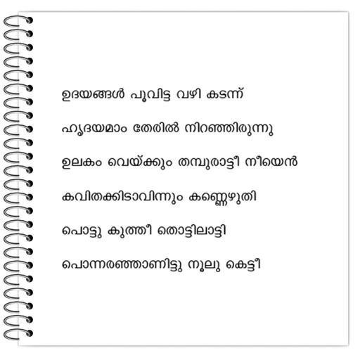 Picture of the product