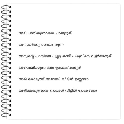 Picture of the product