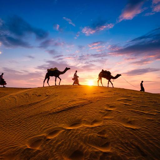 Picture of the product