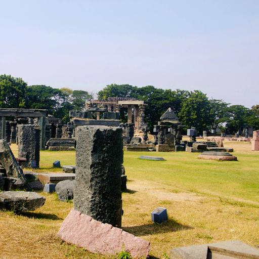 Picture of the product