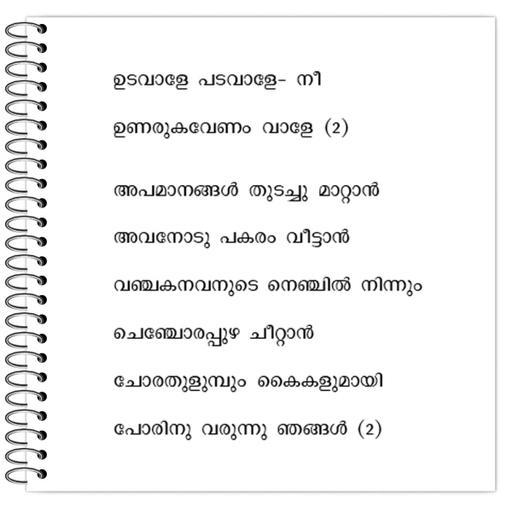 Picture of the product