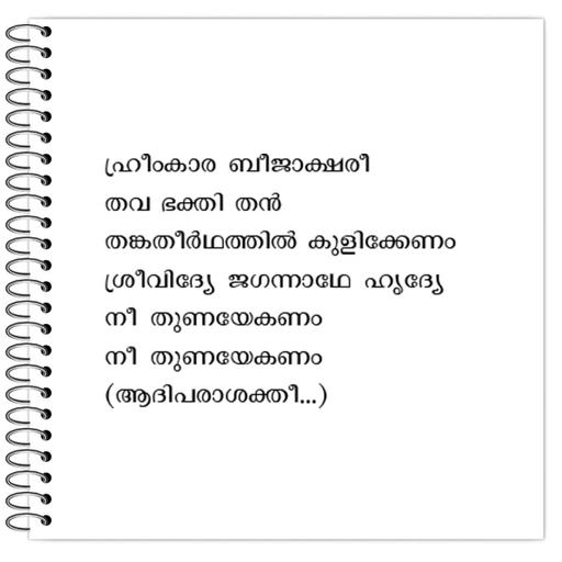 Picture of the product