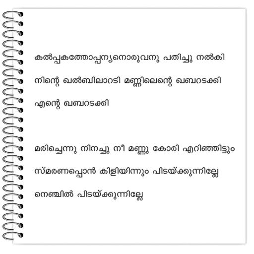 Picture of the product