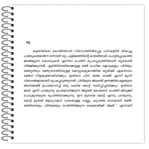 Picture of the product