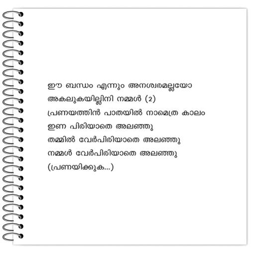 Picture of the product