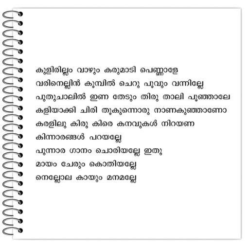 Picture of the product