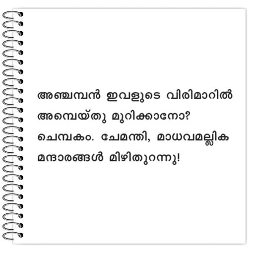 Picture of the product