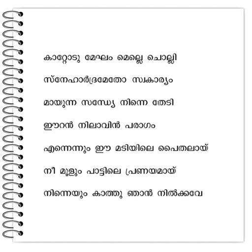 Picture of the product