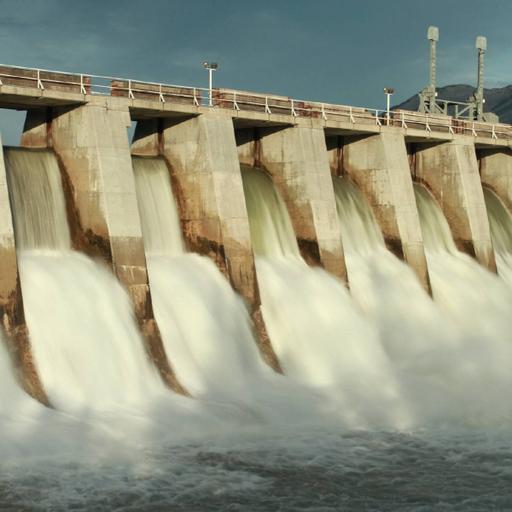 Picture of the product