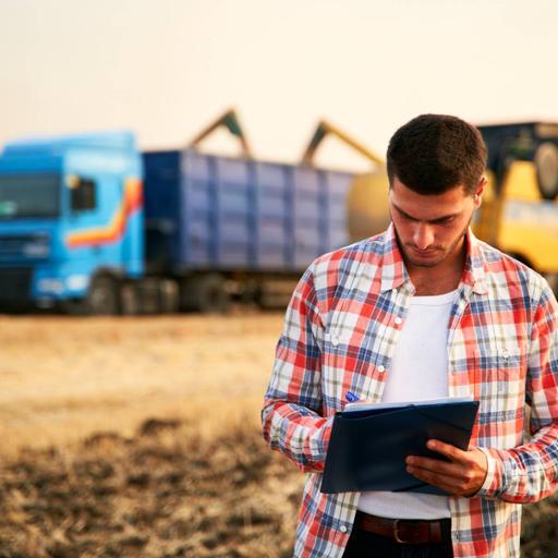 Picture of the product