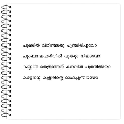 Picture of the product