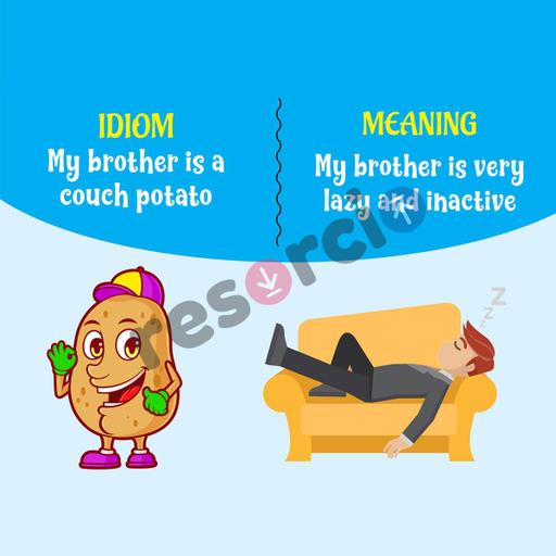 Picture of the product