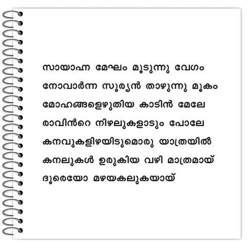 Picture of the product