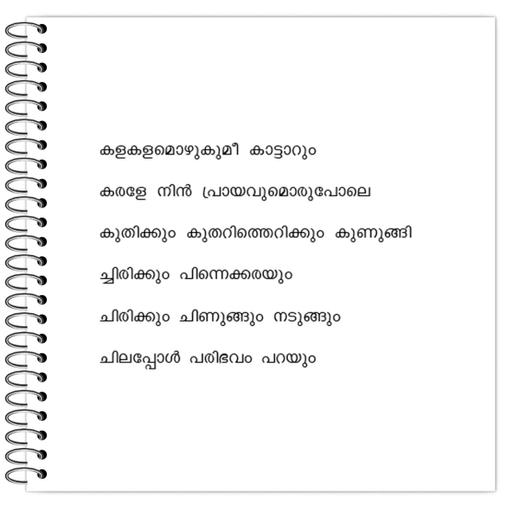 Picture of the product