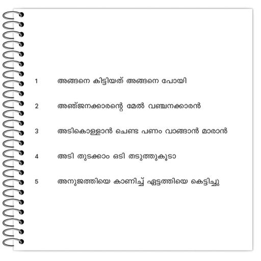 Picture of the product