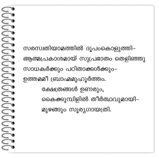 Picture of the product