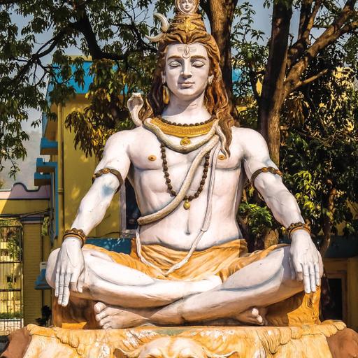 Picture of the product